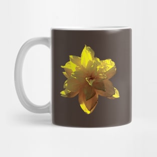 Daffodils - Closeup of Yellow Daffodil Mug